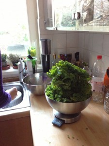 Mountain of Kale