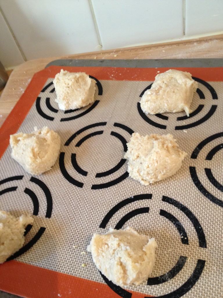 Belize Powder Buns Novel Delights